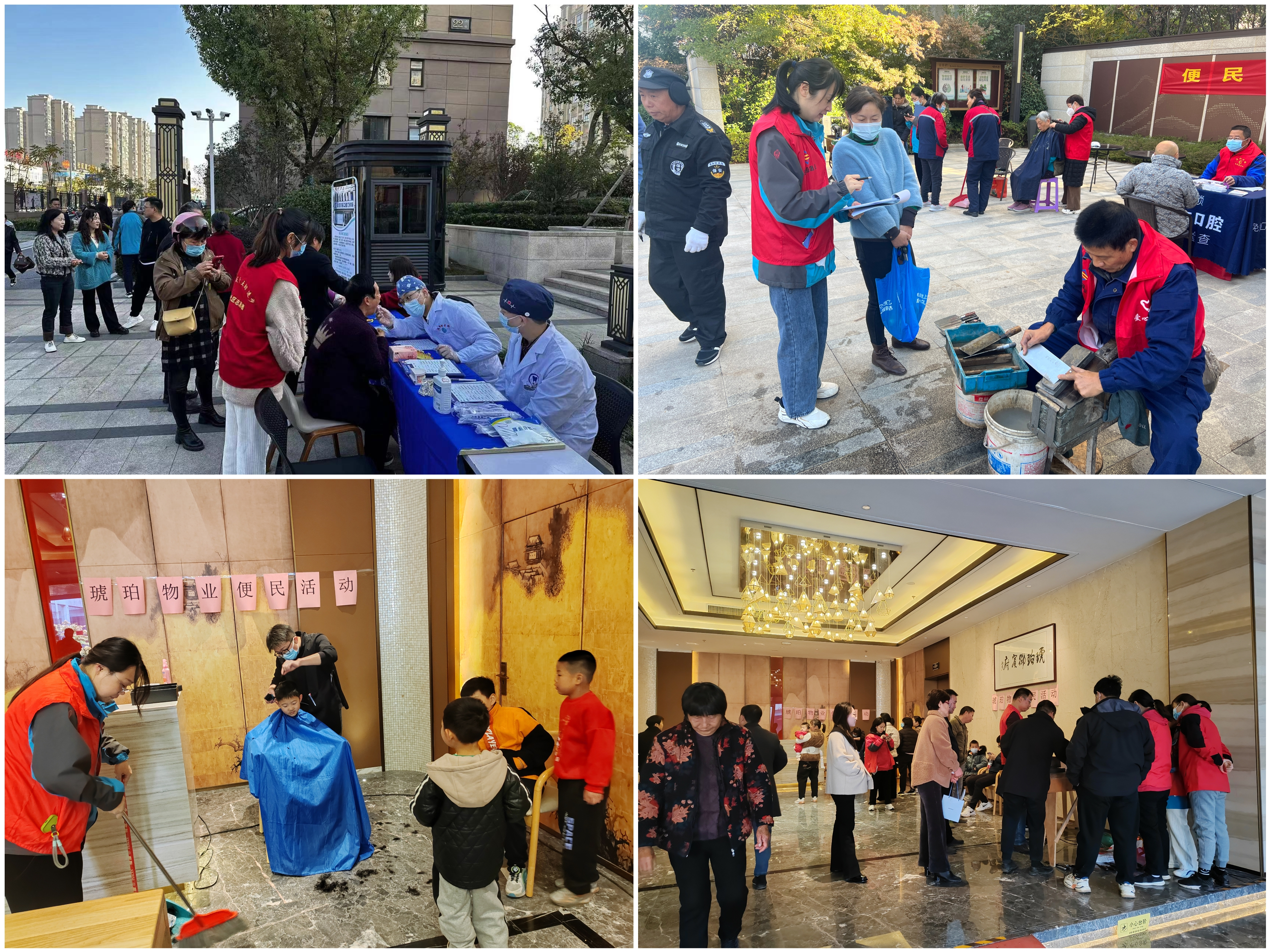 图片12 图片12